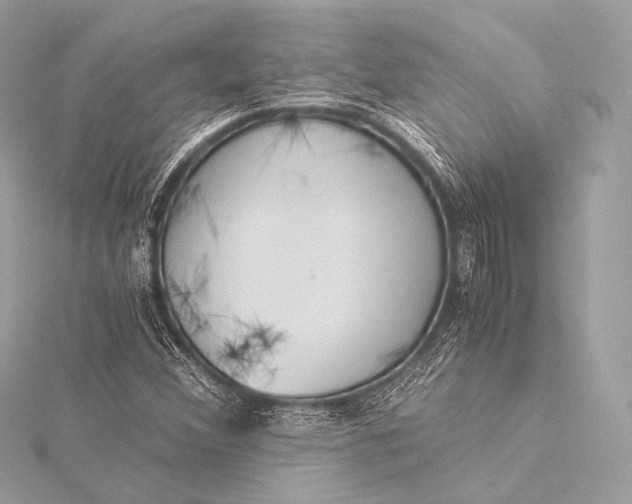 X0000116021356200912041741