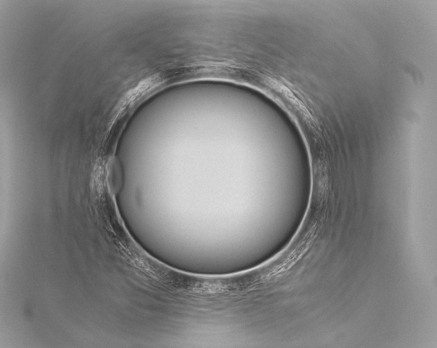 X0000116021357200912041741