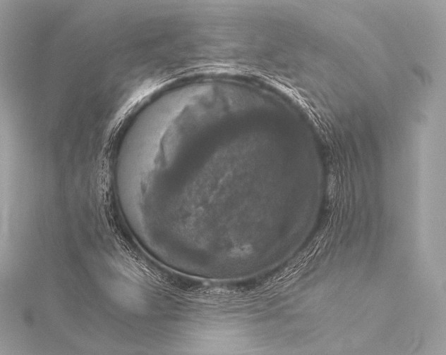 X0000116021359200912041741