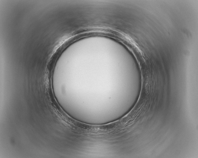 X0000116021360200912041741