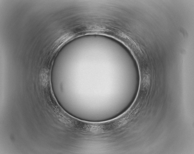 X0000116021361200912041741