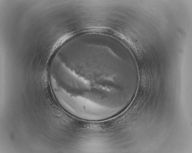 X0000116021362200912041741