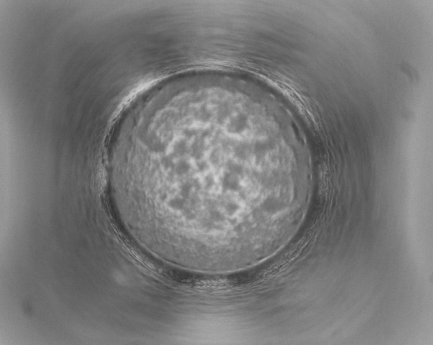 X0000116021363200912041741