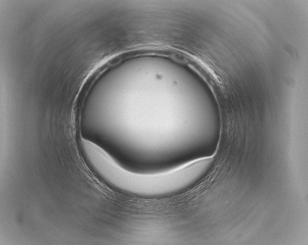 X0000116021364200912041741