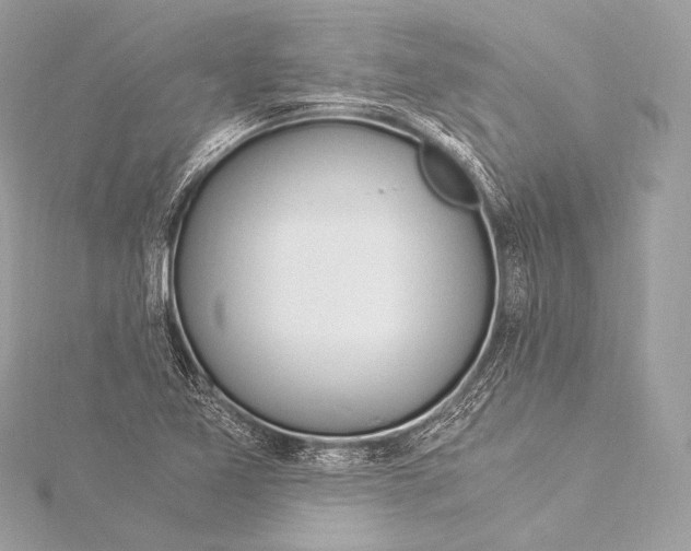 X0000116021365200912041741