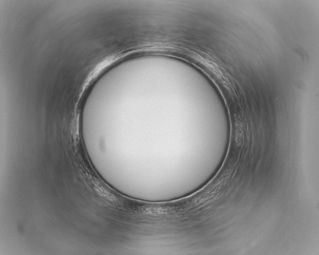 X0000116021366200912041741