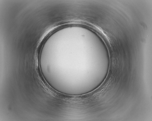 X0000116021368200912041741