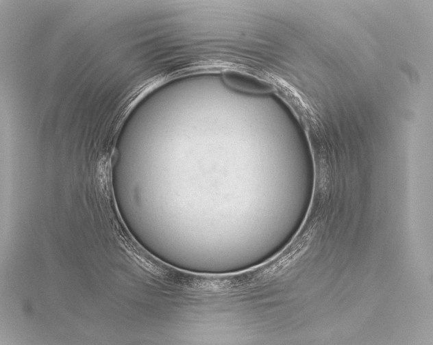 X0000116021369200912041741