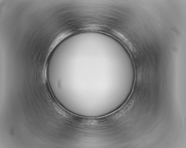 X0000116021370200912041741