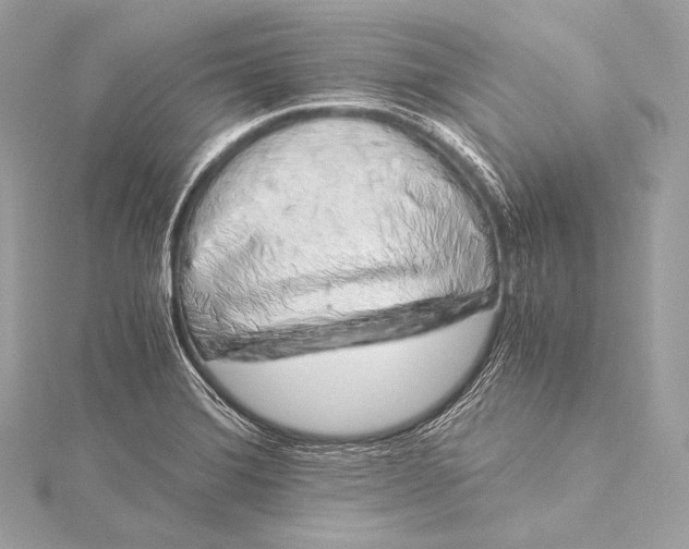 X0000116021372200912041741