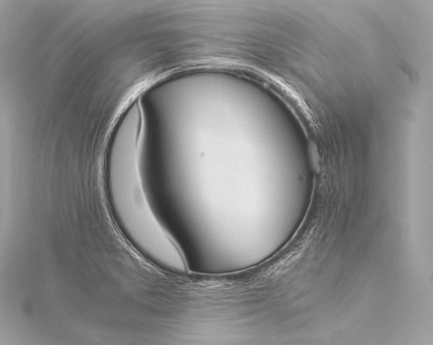 X0000116021373200912041741