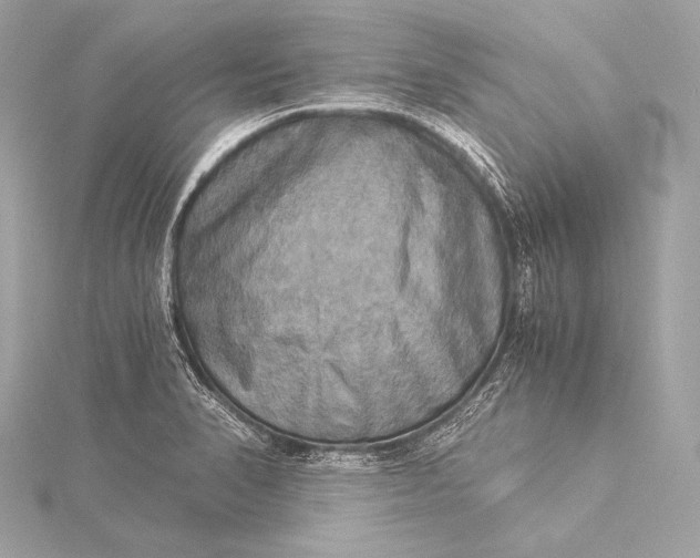 X0000116021374200912041741