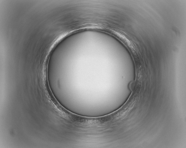 X0000116021375200912041741