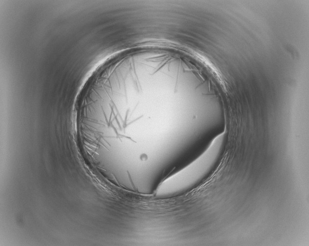 X0000116021376200912041741