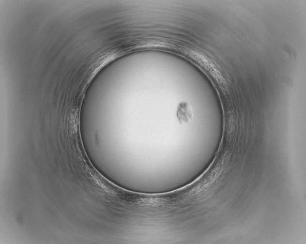 X0000116021377200912041741