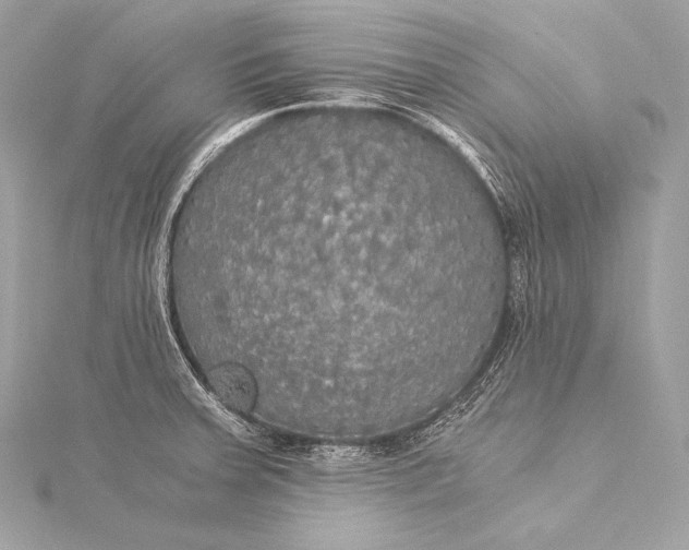 X0000116021379200912041741