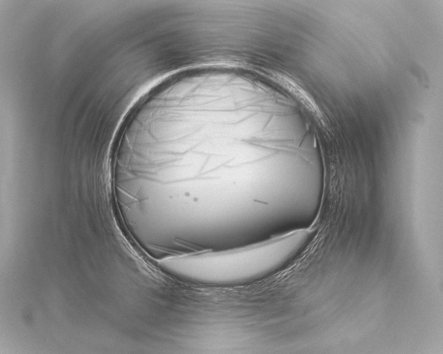 X0000116021380200912041741