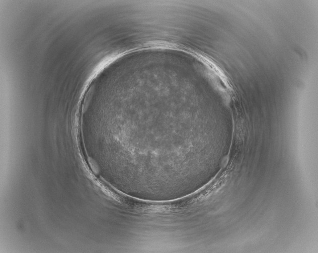 X0000116021381200912041741