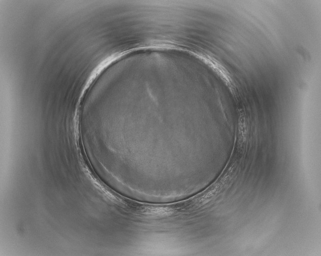 X0000116021382200912041741