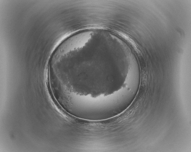 X0000116021383200912041741