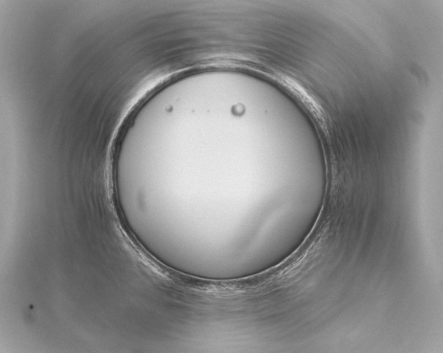 X0000116021384200912041741