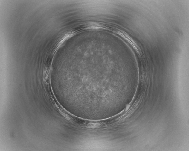 X0000116021385200912041741