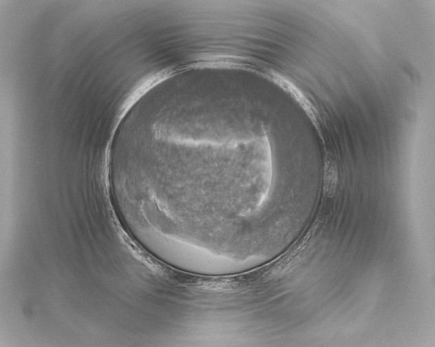 X0000116021386200912041741