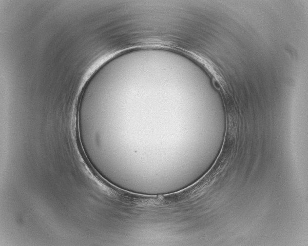 X0000116021387200912041741