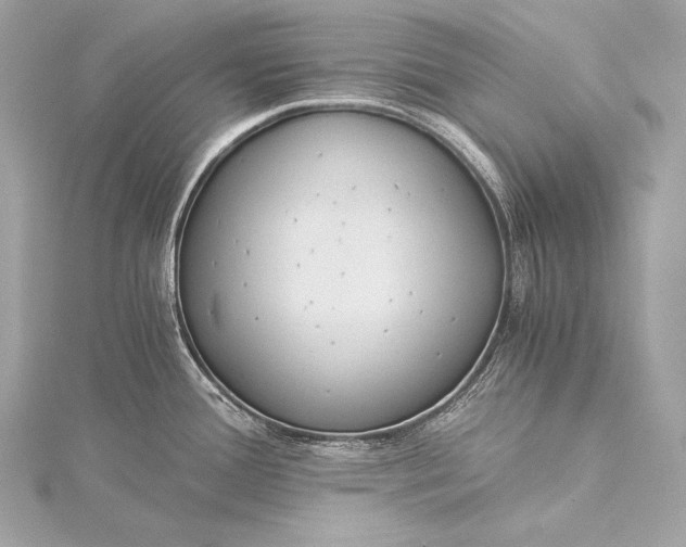 X0000116021388200912041741