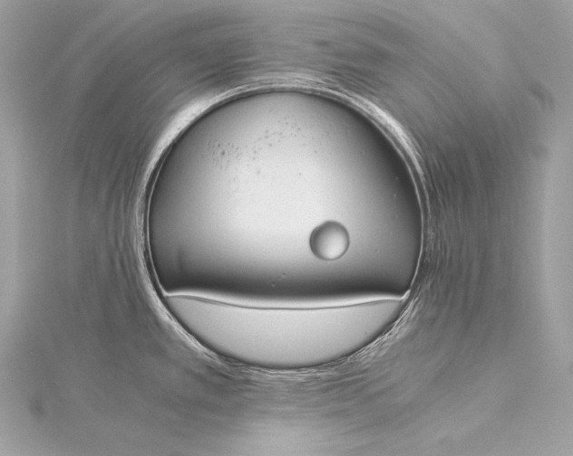 X0000116021389200912041741