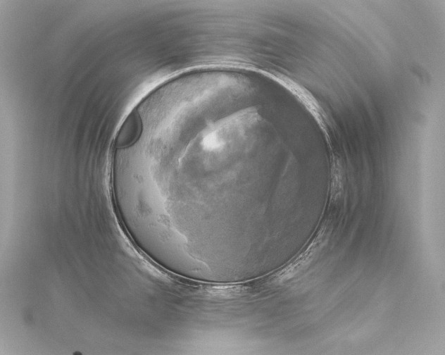 X0000116021390200912041741