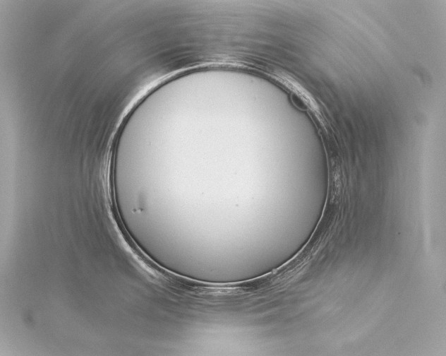 X0000116021391200912041741