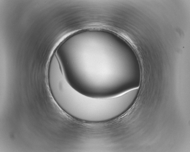 X0000116021392200912041741