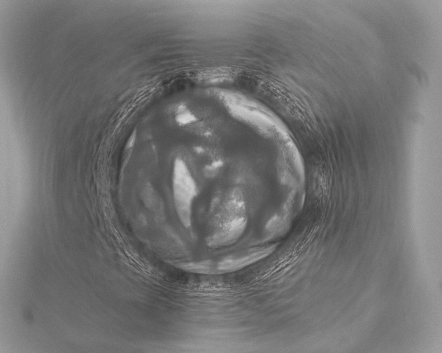 X0000116021393200912041740