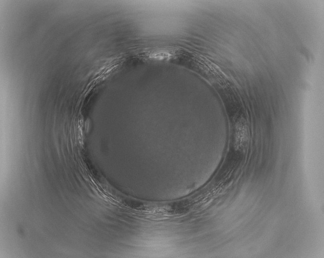 X0000116021394200912041740