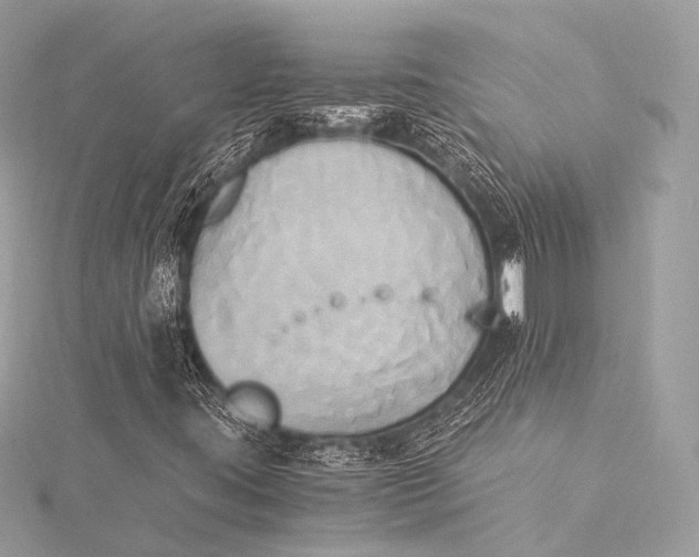 X0000116021395200912041740