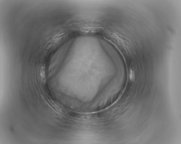 X0000116021396200912041740