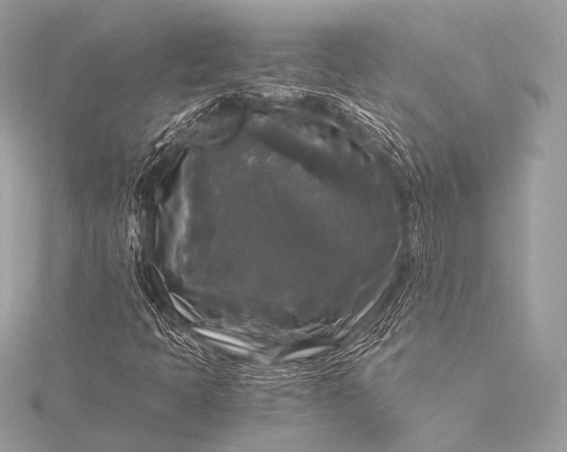 X0000116021397200912041740