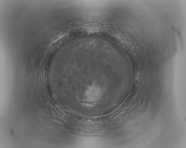 X0000116021398200912041740