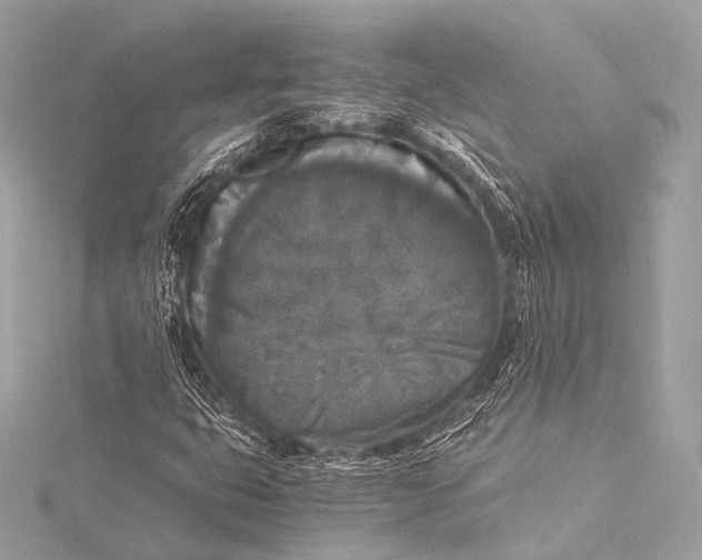 X0000116021399200912041740