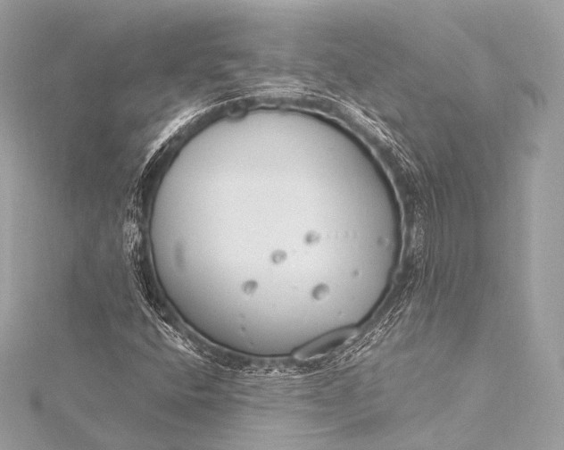 X0000116021400200912041740