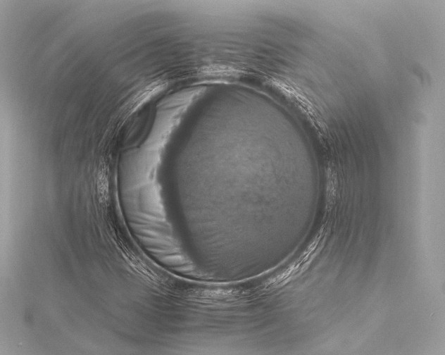 X0000116021401200912041740