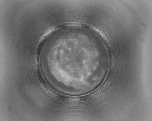 X0000116021403200912041740