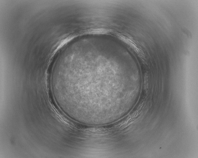 X0000116021404200912041740