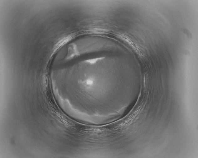 X0000116021405200912041740