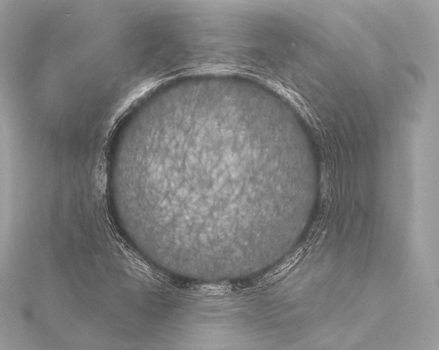 X0000116021406200912041740