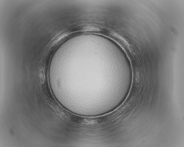 X0000116021407200912041740