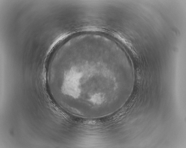 X0000116021408200912041740