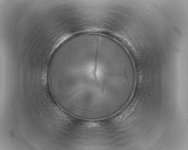 X0000116021409200912041740