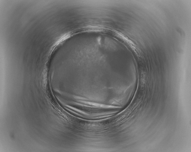 X0000116021411200912041740